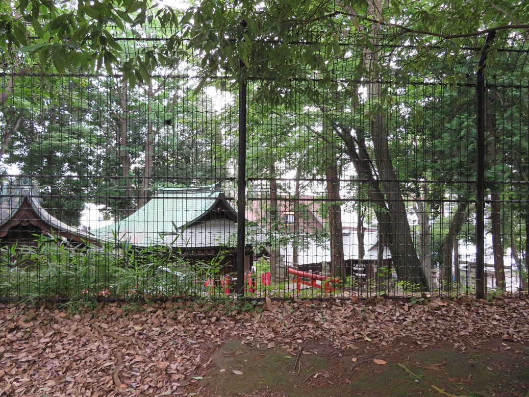 街歩き録 世田谷 代沢せせらぎ公園 三宿の森 三宿神社 烏山川緑道から目黒川緑道 気ままにぶらぶら東京街歩き食べ歩き旅